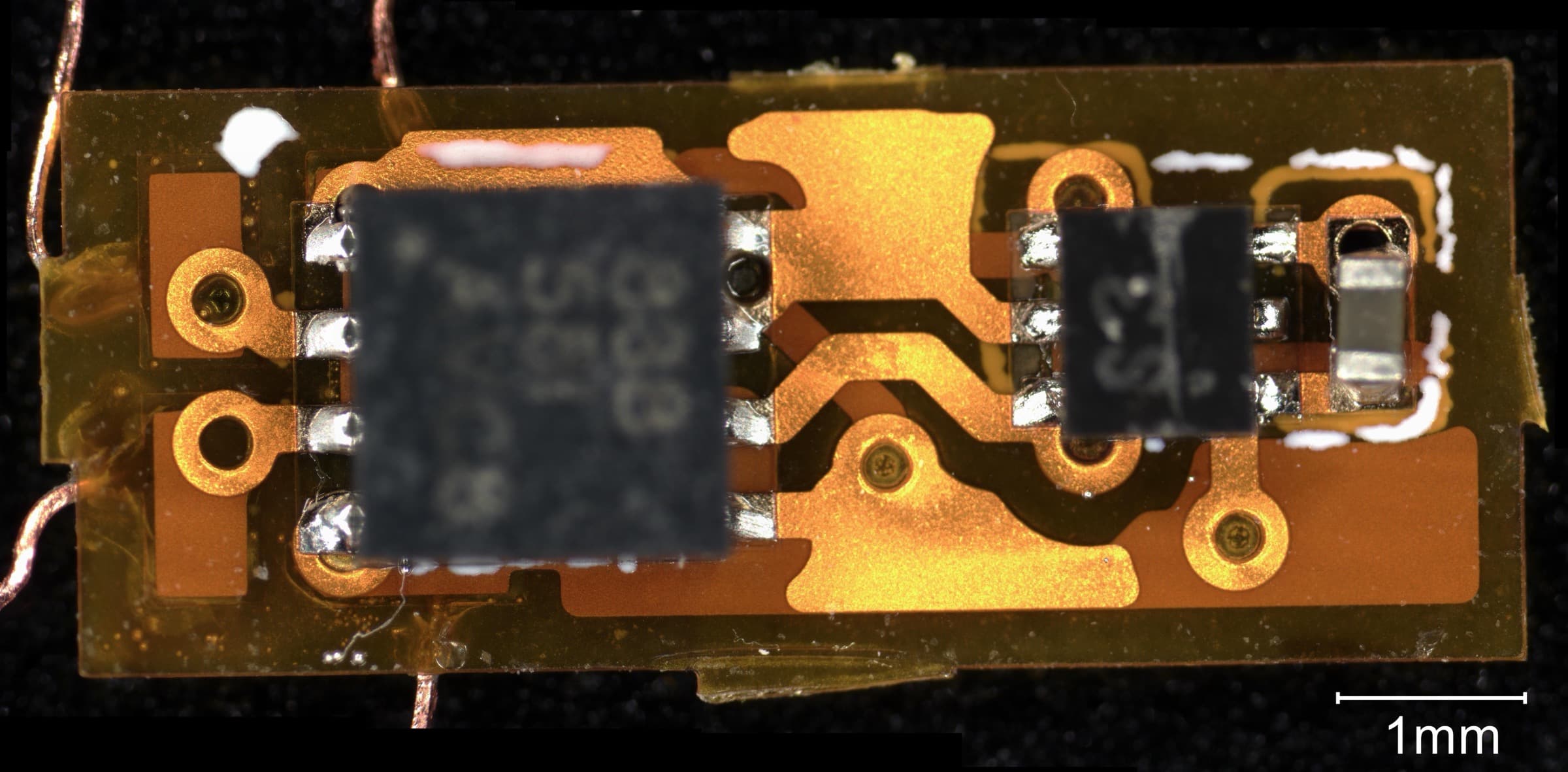 Macro photograph of a polyimide flex circuit board carrying two integrated circuits and copper traces, with a one millimetre scale bar showing the board is a few millimetres across.