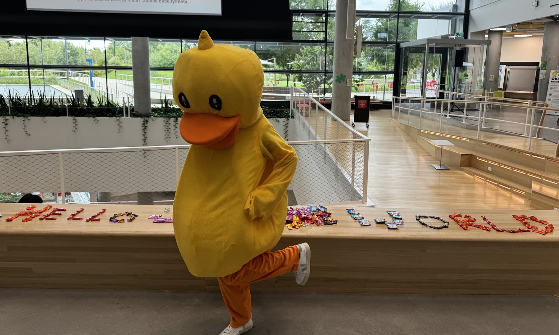 Becca in a full yellow duck costume, the CS50 mascot, standing with one foot up against a bench. Along the bench behind her, the words hello world are spelled out in sweets.